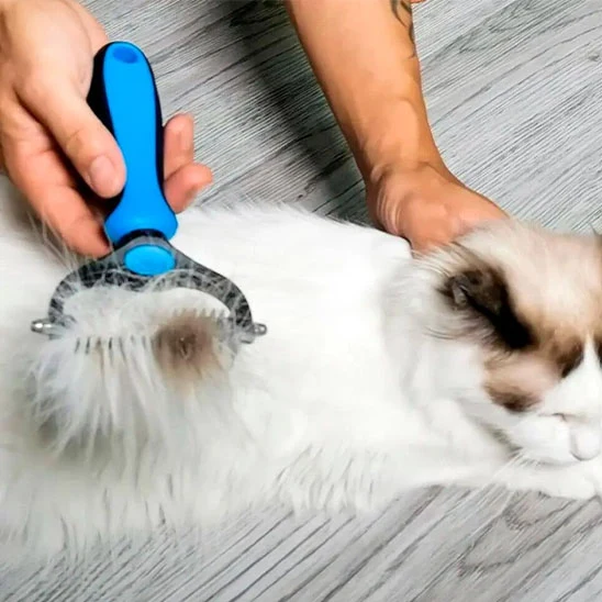 Brosse chat poil long