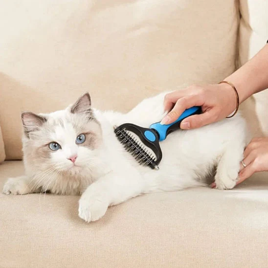 Brosse chat poil long