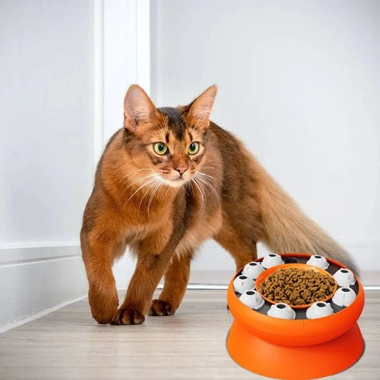 Gamelle ludique chat - Surélevée et anti-glouton
