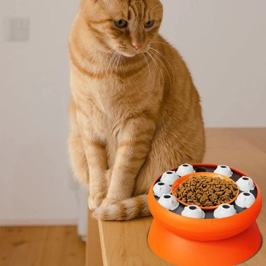 Gamelle ludique chat - Surélevée et anti-glouton