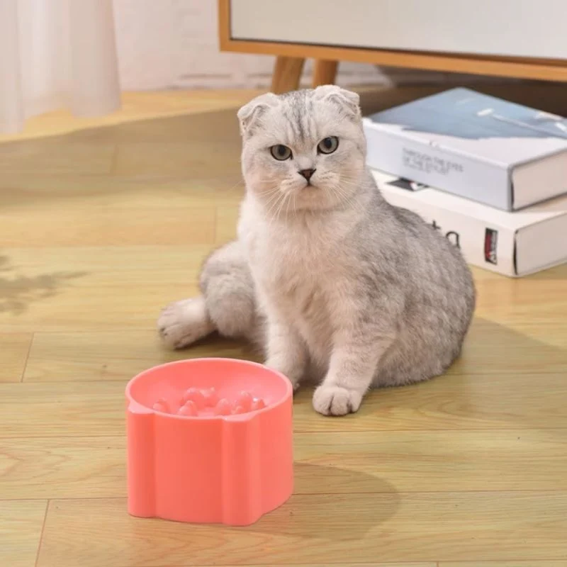 gamelle anti glouton chat - Surélevée
