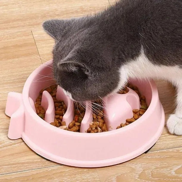 Gamelle anti-glouton chat - Poisson