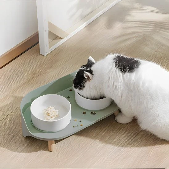 Gamelle chat - Anti déversement