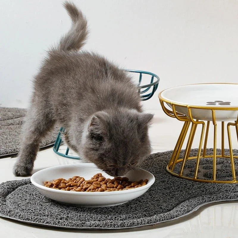 Gamelle chat surélevée - Confort optimal