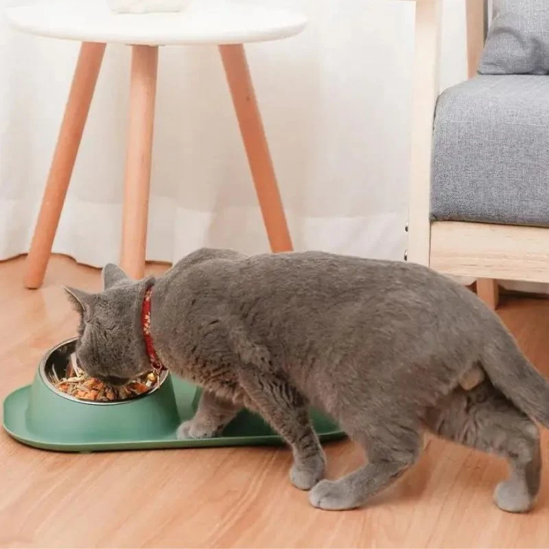 Gamelle pour chat - Anti Renversement