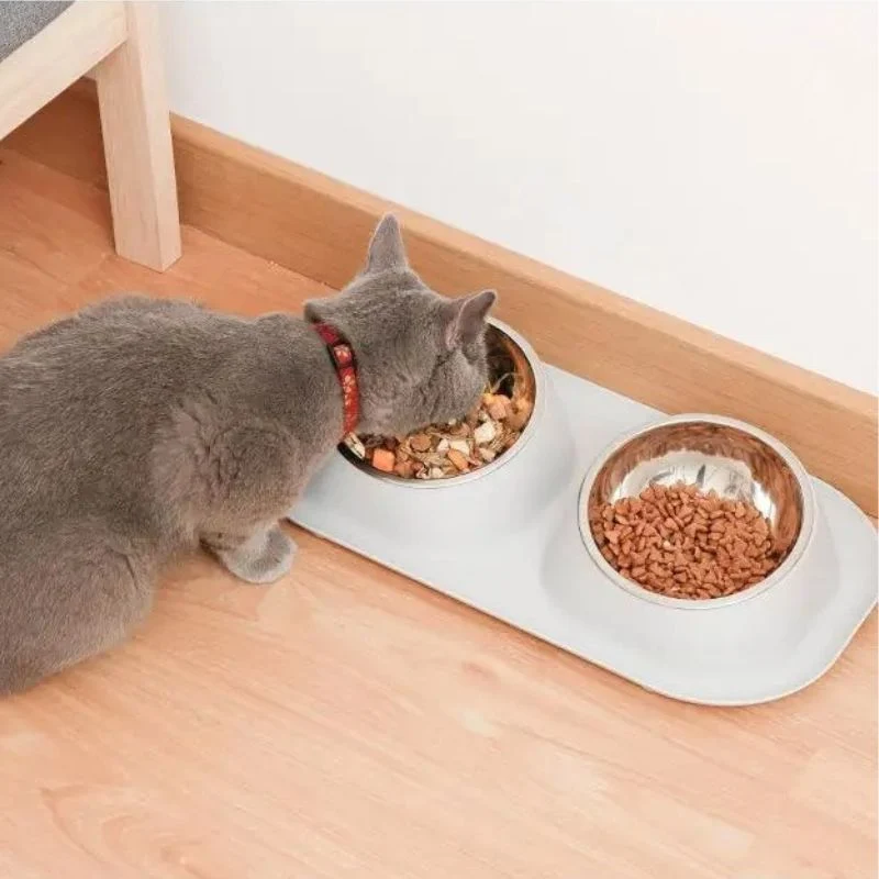Gamelle pour chat - Anti Renversement