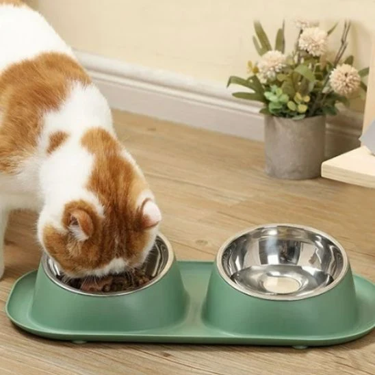 Gamelle pour chat - Anti Renversement