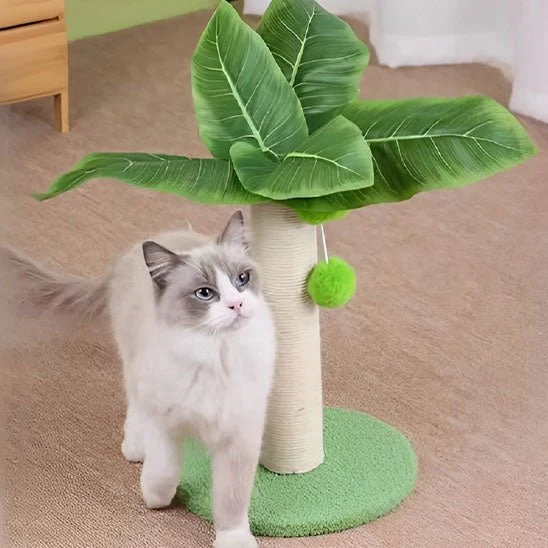 Griffoir pour chat - Design en Palmier