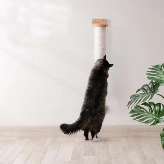 Griffoir pour chat - Poteau mural