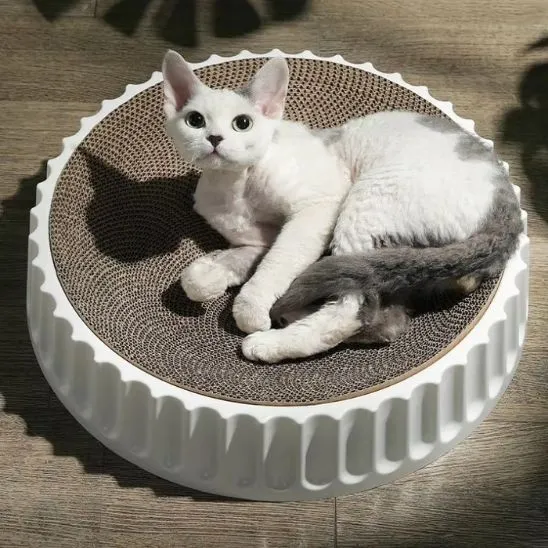 Griffoir rond chat - En carton remplaçable