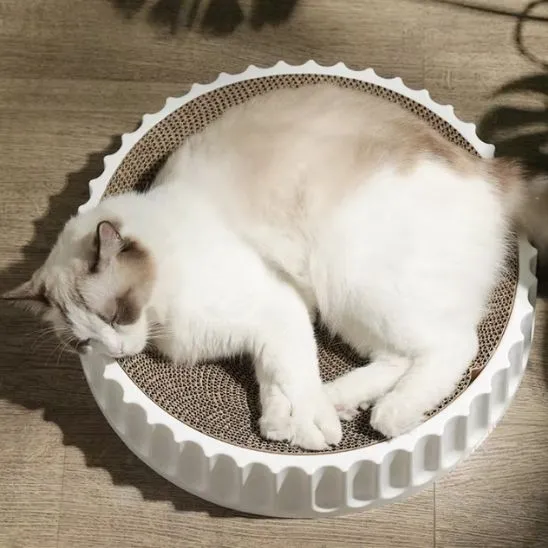 Griffoir rond chat - En carton remplaçable