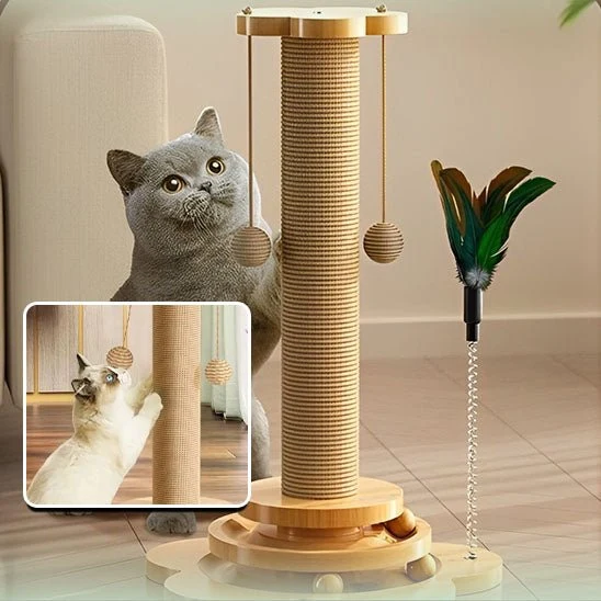 Griffoir chat - Interactif en sisal