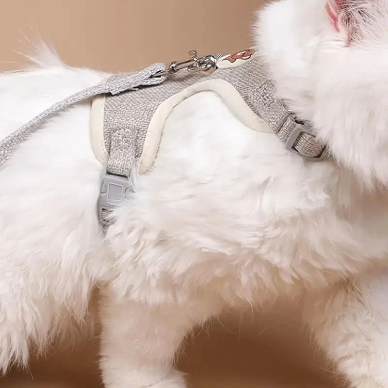 Harnais pour chat - Motif ourson