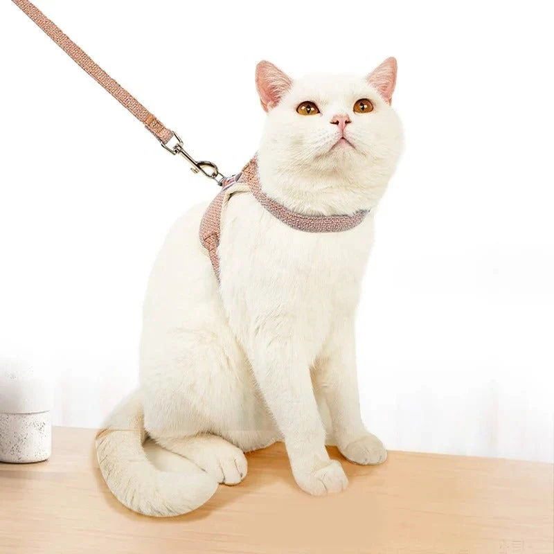 Harnais pour chat - Motif ourson