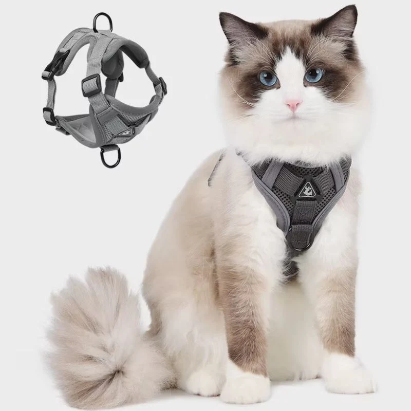 Harnais chat anti-fugue - Réglable et réfléchissant
