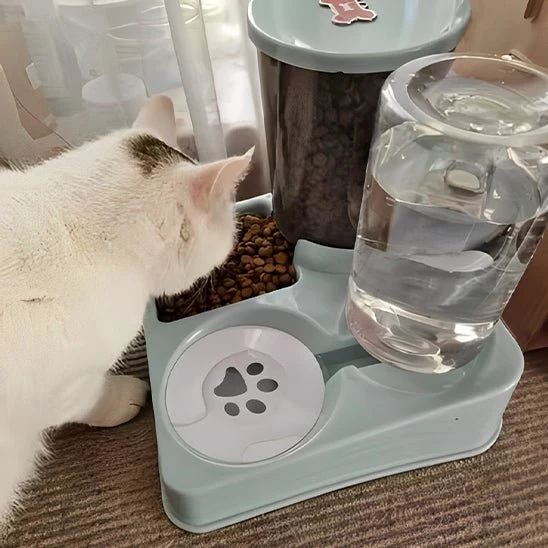 Distributeur eau et croquette chat – 2 en 1