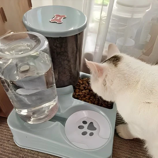 Distributeur eau et croquette chat – 2 en 1