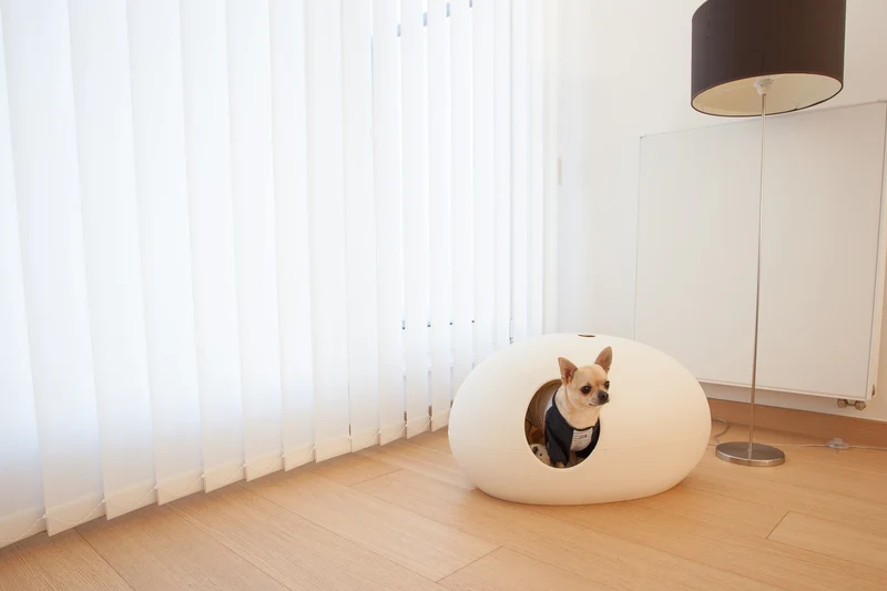 Litière ou niche design pour chat