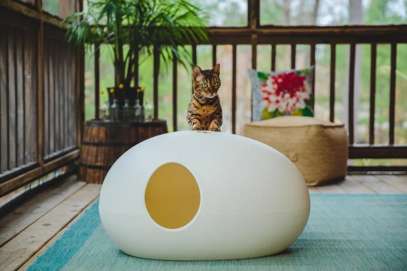 Litière ou niche design pour chat
