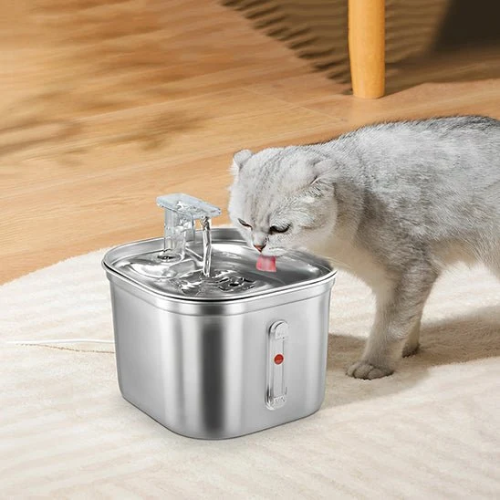 FONTAINE À EAU POUR CHAT - AVEC CAPTEUR (2L)