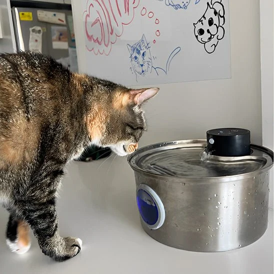 FONTAINE À EAU POUR CHAT - AUTOMATIQUE AVEC CAPTEUR (3,2L)