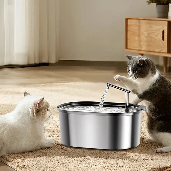 FONTAINE A EAU CHAT- INOX (3,2L)