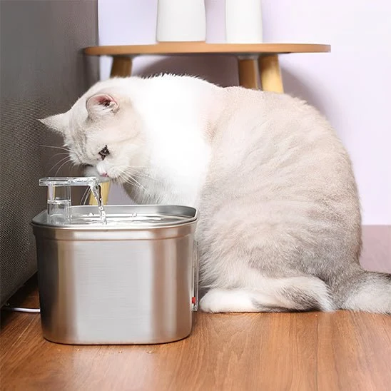 FONTAINE À EAU POUR CHAT - AVEC CAPTEUR (2L)