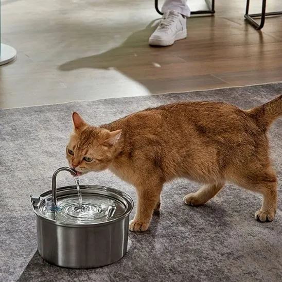 FONTAINE A EAU CHAT- AUTOMATIQUE EN ACIER (3L)