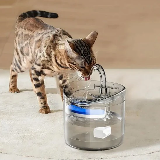 FONTAINE A EAU CHAT - TRANSPARENTE AVEC ROBINET (2L)