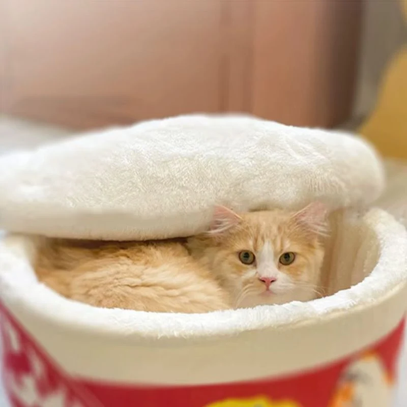 Lit pour chat- En de pot de Noodle