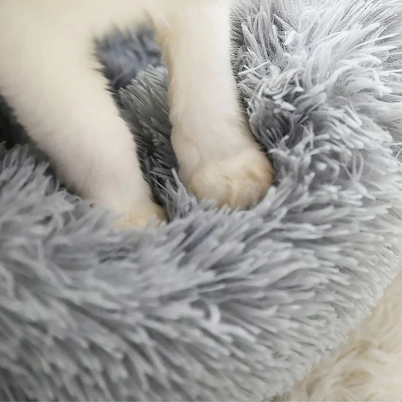 Coussin pour chat - Douillet