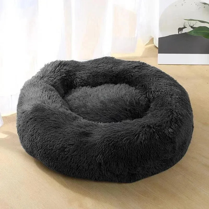 Coussin pour chat antistress