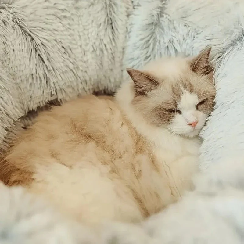 Coussin chat - Polyvalent