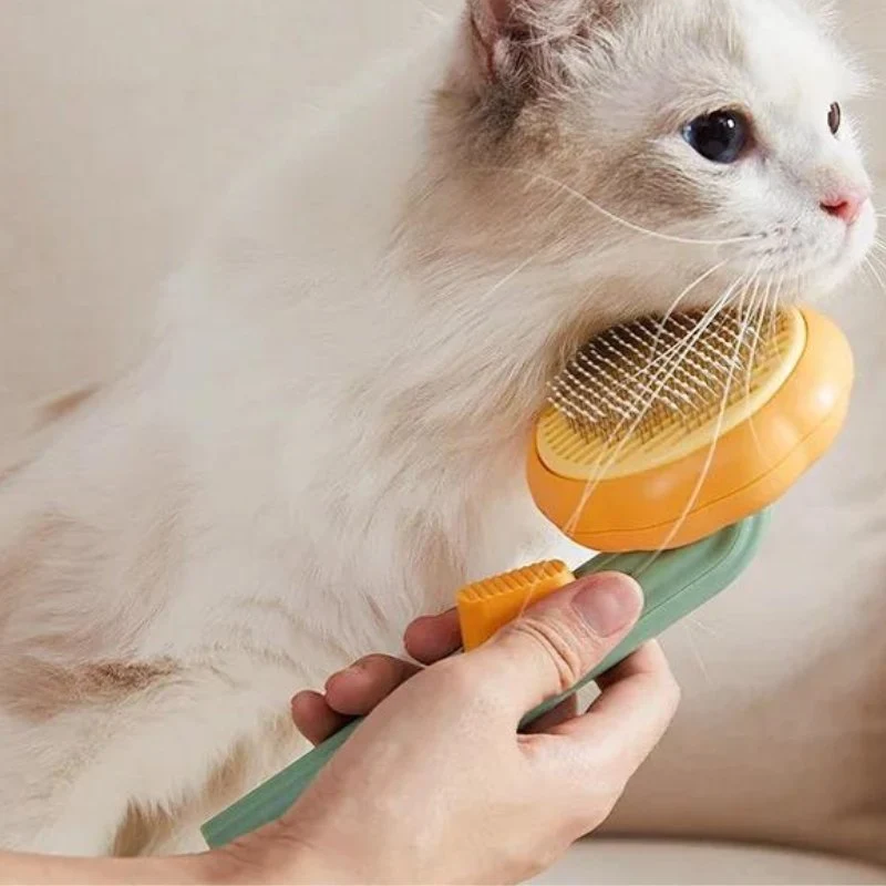Brosse pour chat - Massante