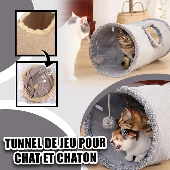 Tunnel pour chat - PurrPath
