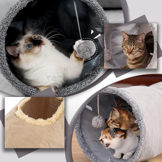 Tunnel pour chat - PurrPath