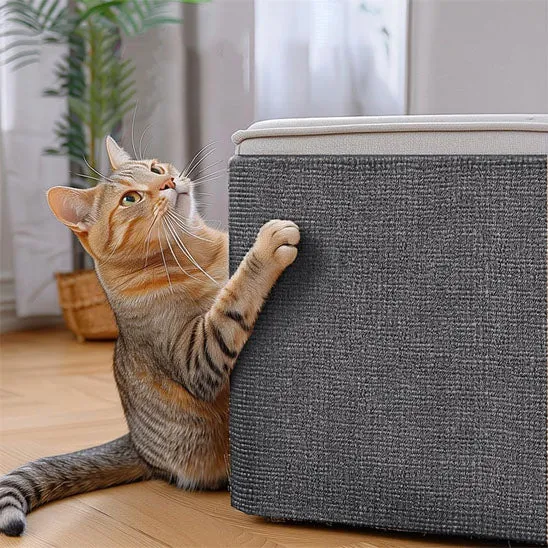 Griffoir pour chat - Autocollant