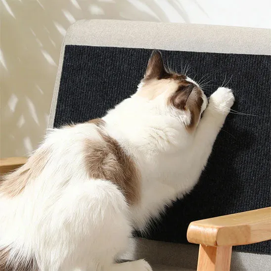 Griffoir pour chat - Autocollant