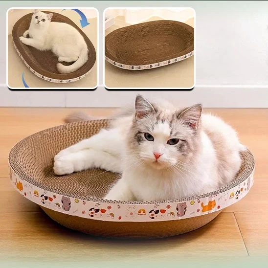 Panier pour chat - Griffoir 2 en 1
