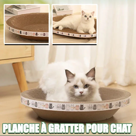 Panier pour chat - Griffoir 2 en 1