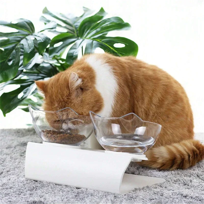 Gamelle chat - Bol double et transparent