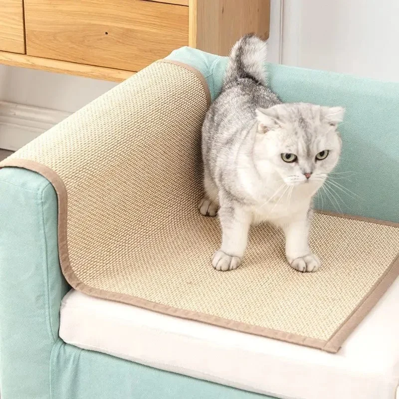 Griffoir pour chat - Paws Scratch
