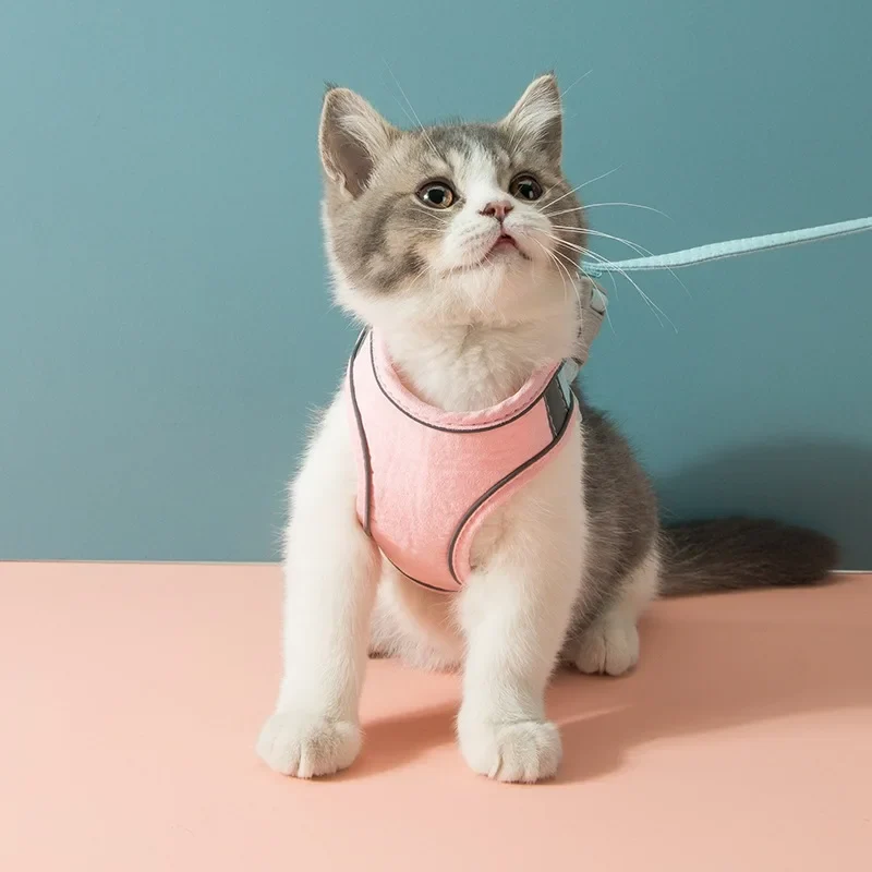 Harnais pour chat | Doux Triple Protection VelvetCat