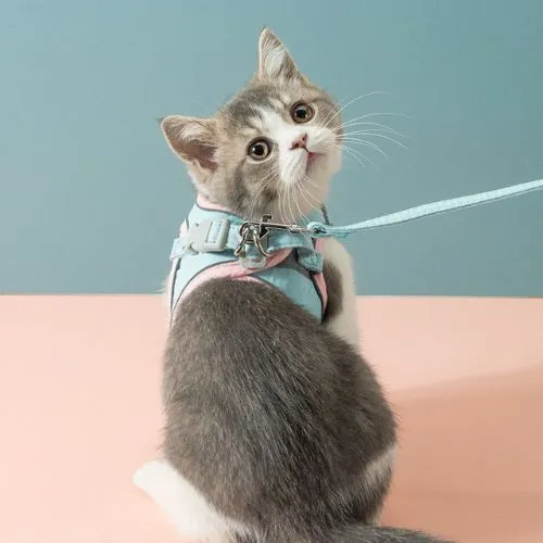 Harnais pour chat | Doux Triple Protection VelvetCat