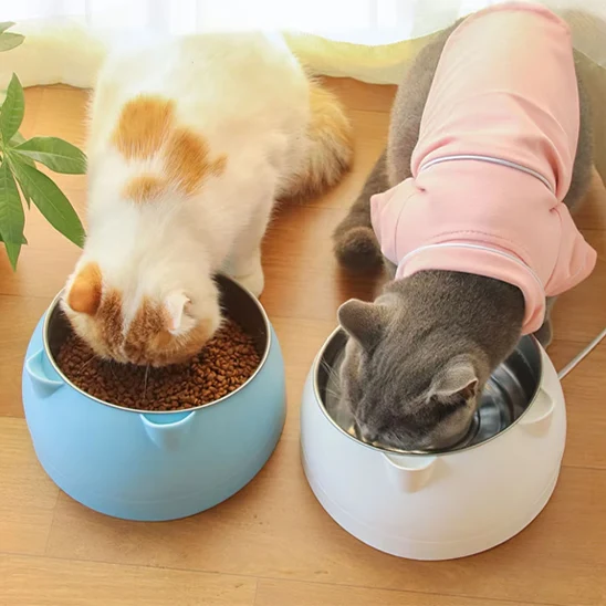 Gamelle pour chat - En inox Inclinée