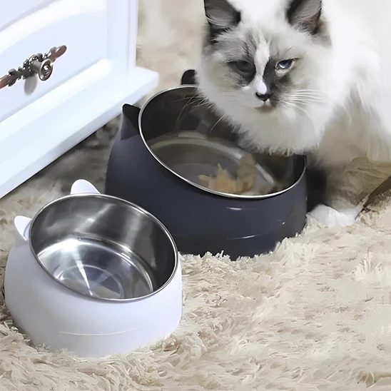 Gamelle pour chat - En inox Inclinée