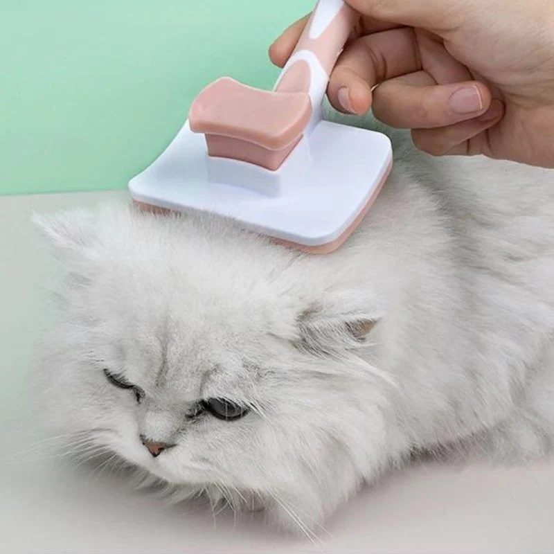 Brosse pour chat - Démêlante