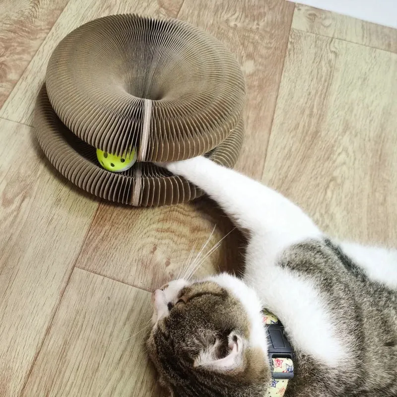 Jouet griffoir pour chat en carton - Organ Toy