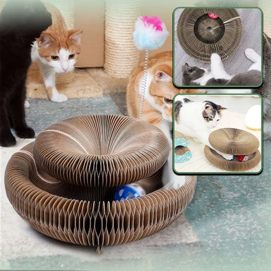 Jouet griffoir pour chat en carton - Organ Toy