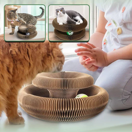 Jouet griffoir pour chat en carton - Organ Toy
